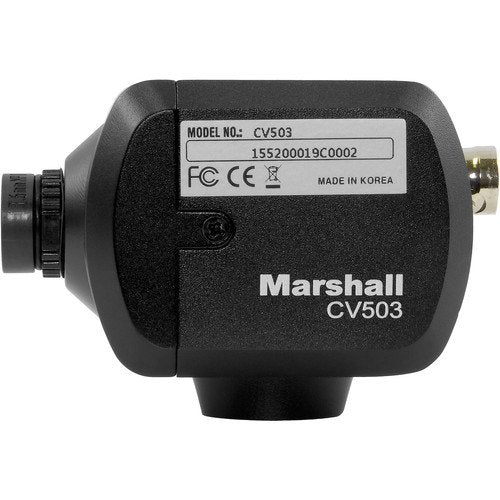 Marshall  CV 503 Miniatura Full-HD