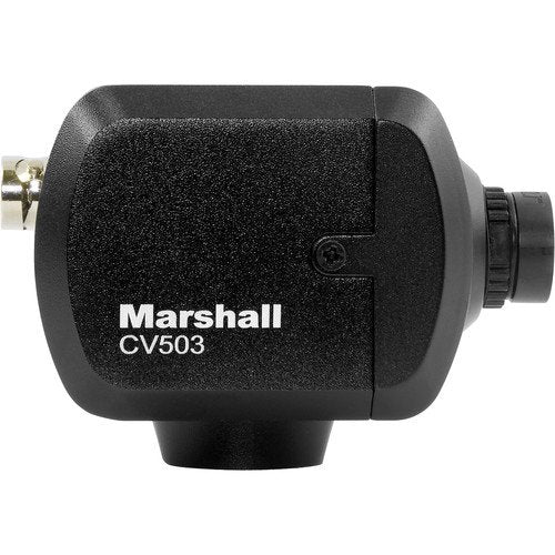 Marshall  CV 503 Miniatura Full-HD