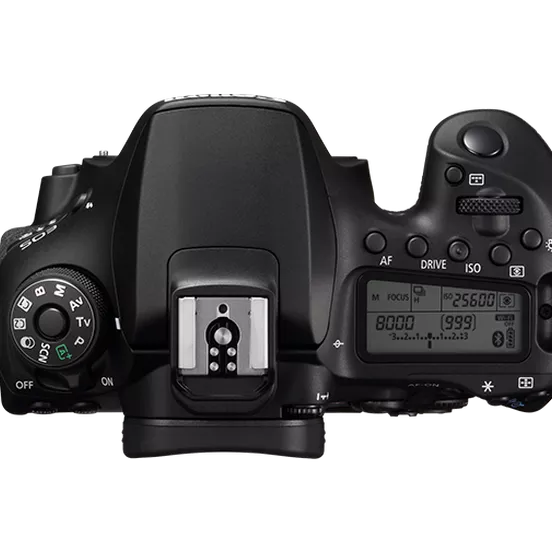 Canon EOS 90D - Lente 18-135 mm